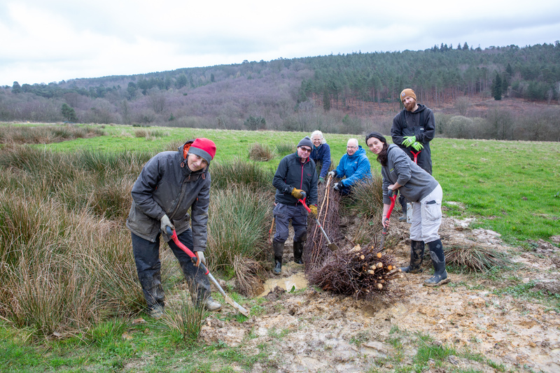 Volunteers with Lydia Baxter creating scrapes and adding brash bundles © Roz Bassford