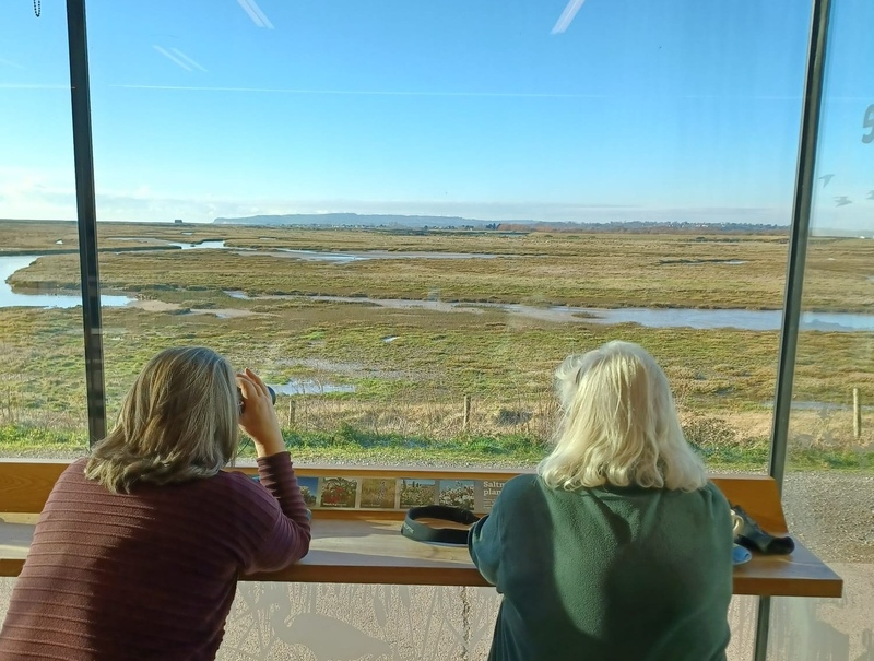 Birdwatching from the Lime Kiln cafe