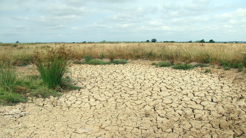 Drought at Pevensey © Sam Roberts