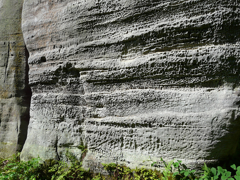 Eridge Rocks © Peter Anderton