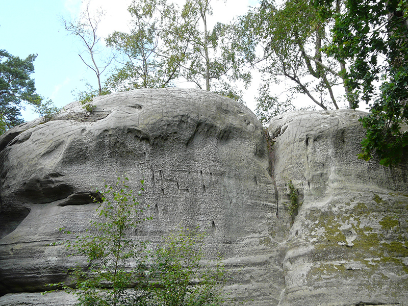 Eridge Rocks © Peter Anderton