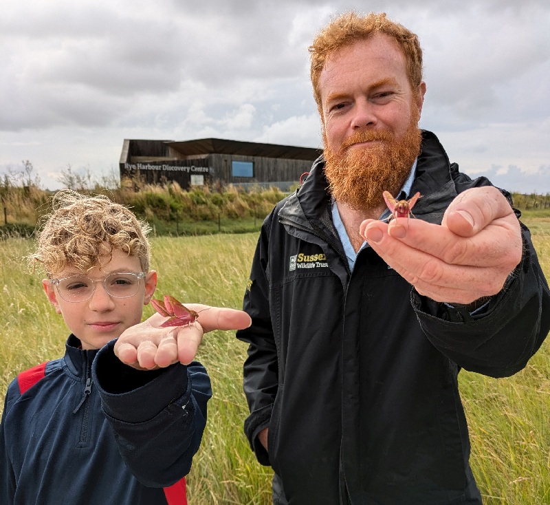 A boy and a man with live moths on their hands at Rye Harbour Nature Reserve