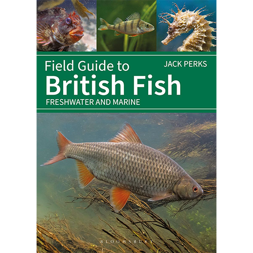 Field Guide to British Fish, Jack Perks