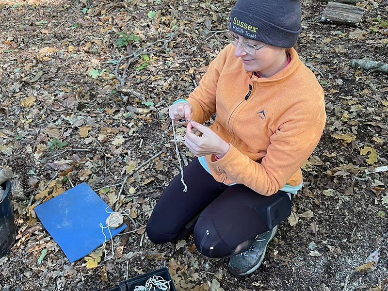 October update from Shannon Rae, Heritage Lottery Trainee