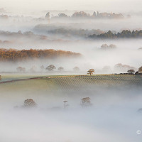 4. Fulking Mist - Lloyd Lane