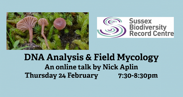 Online Talk: DNA Analysis & Field Mycology