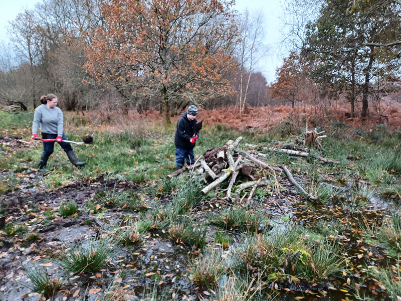 Habitat creation with Chailey School © Lydia Baxter