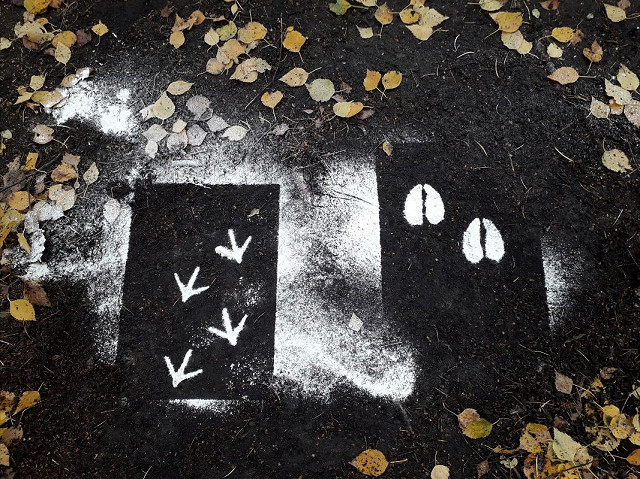 Crawley – Tilgate Park Nature Tots: Block of four Thursdays:  Age 3-5yrs  (07/11/24)
