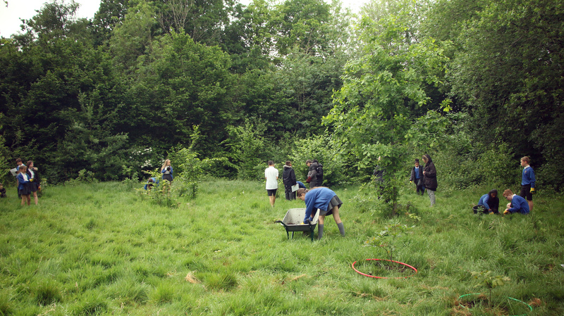 Tree mapping at Maidenbower Junior School © Sam Roberts
