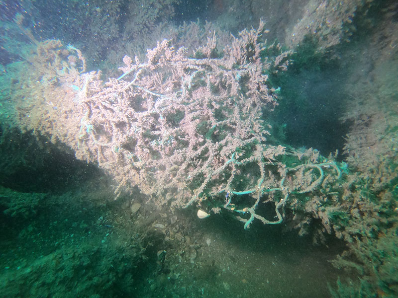 Ghost gear - what are we doing about it?