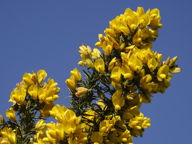 Eastbourne Local Group events update
