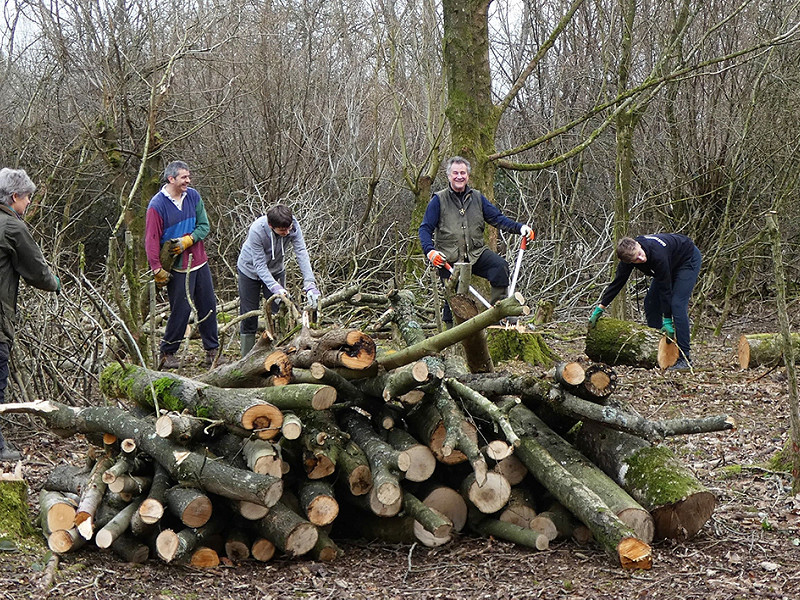 Graffham Down work party