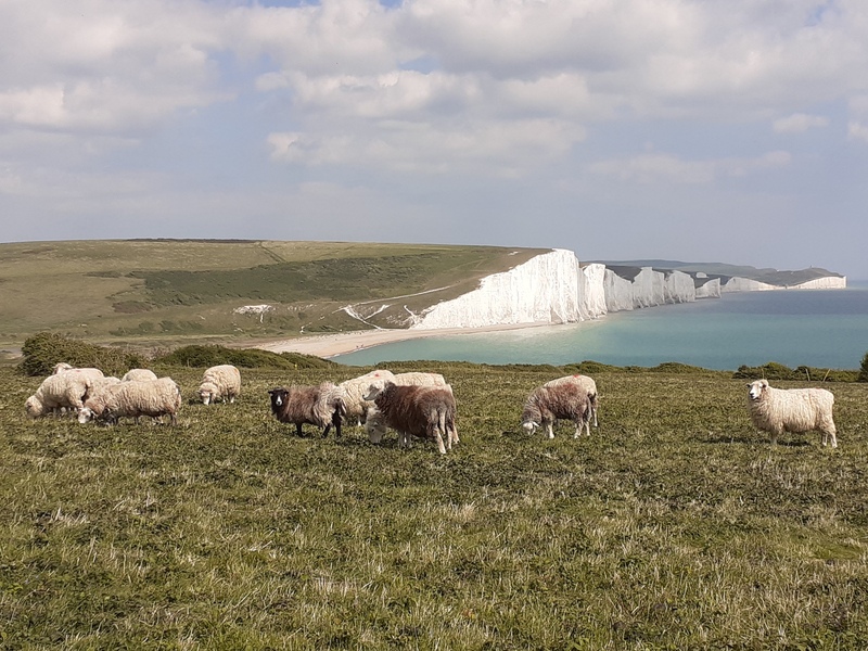 Huge new water-inspired National Nature Reserve is created