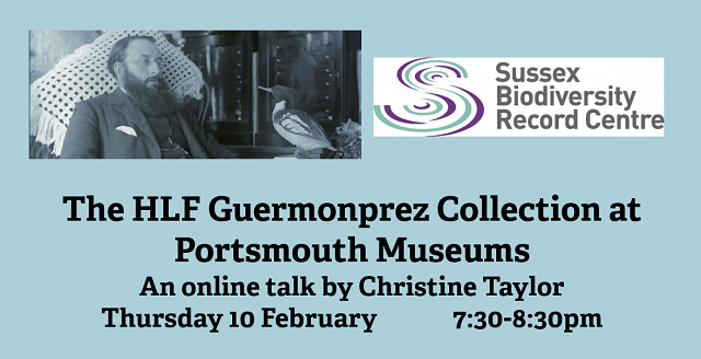 Online Talk: The HLF Guermonprez Collection at Portsmouth Museums