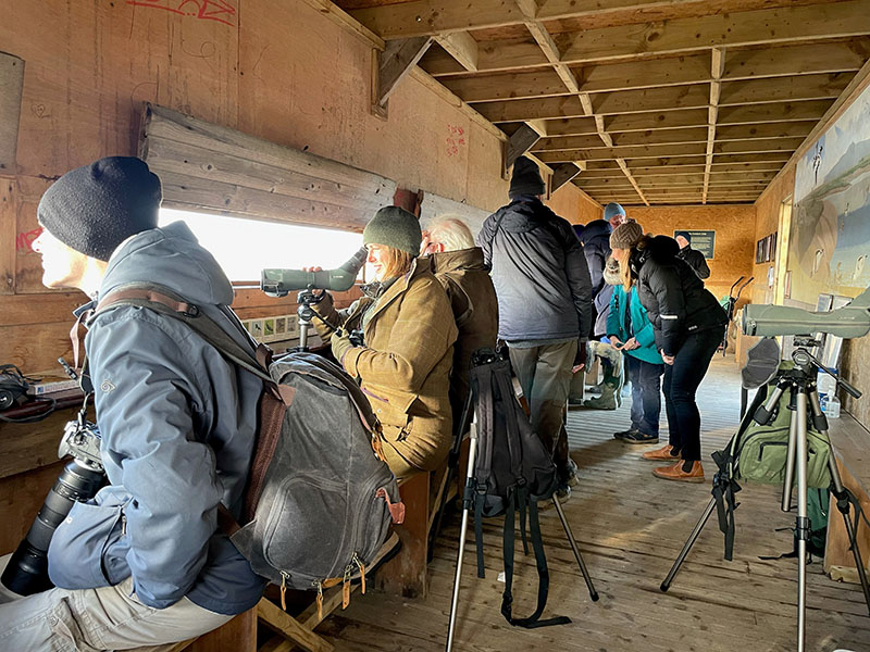 Guide in a Hide © Linda Wren