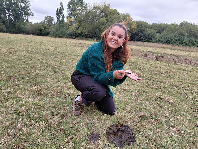 Webinar: Dung Beetles - Ecosystem engineers supporting soil health and biodiversity in Sussex.