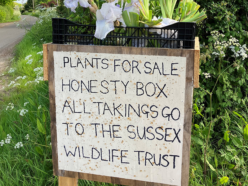 We meet Sussex Wildlife Trust supporter James Horner
