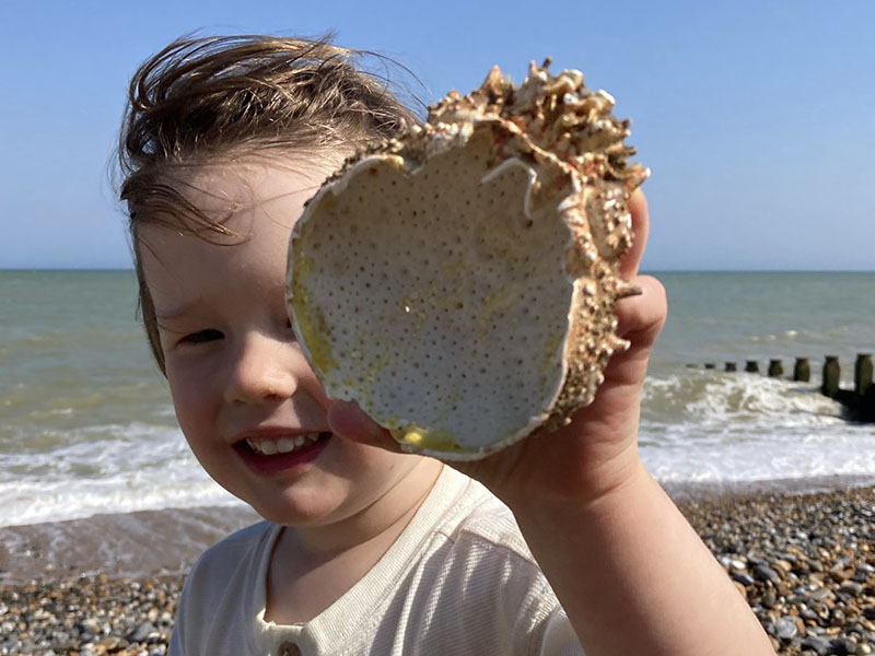 Beach treasure Beach treasure