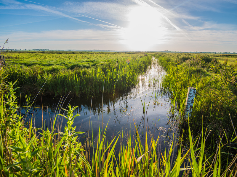 Nature Recovery proposals based on weakened protections