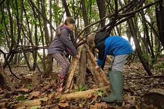 shelter