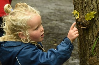 Nature Tots