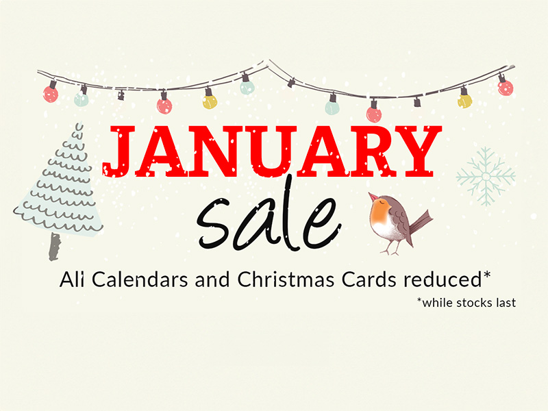 January Sale 2024