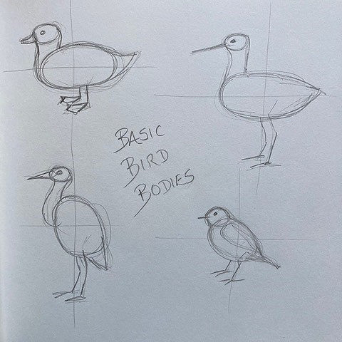 Field Sketching Workshop - Rye Harbour (21/06/2022)