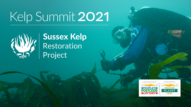 Kelp Summit 2021