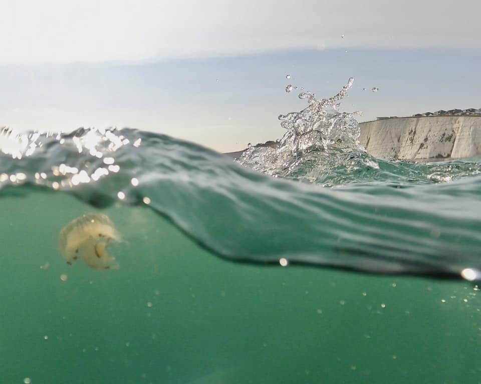 Blue Jellyfish at Saltdean © Kevin Pope