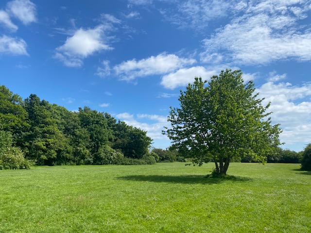The Friends of Langmeads