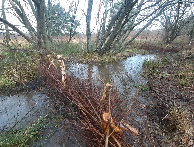 Leaky dam © Sam Buckland