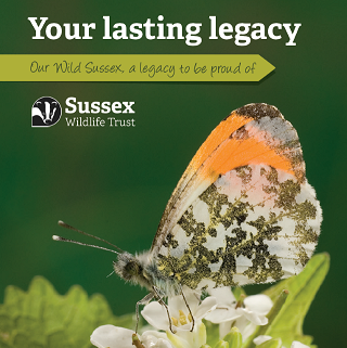 Legacy Booklet 2025