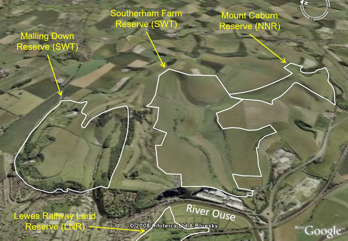 Here is a Google Earth view of Lewes Downs.