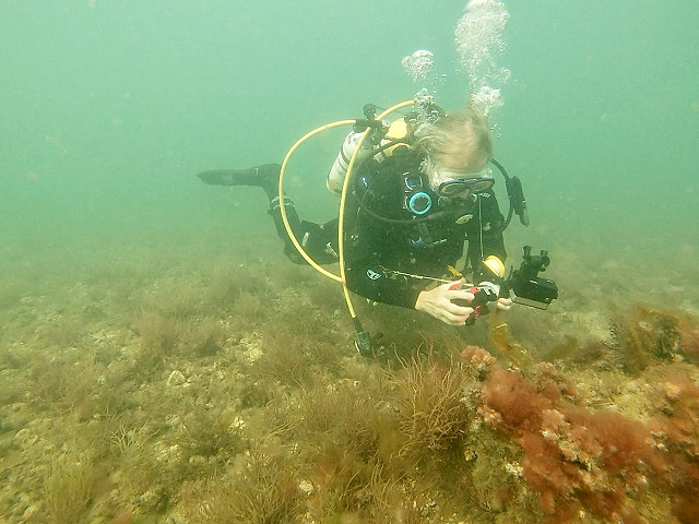 Seasearch Training Day
