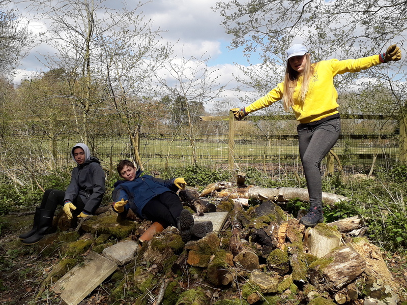 Youth Rangers creating habitat pile © Tamara Jewell