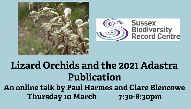 Online Talk: Lizard Orchids and the 2021 Adastra publication