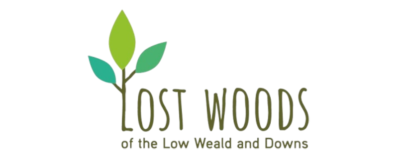 Lost Woods logo Lost Woods logo