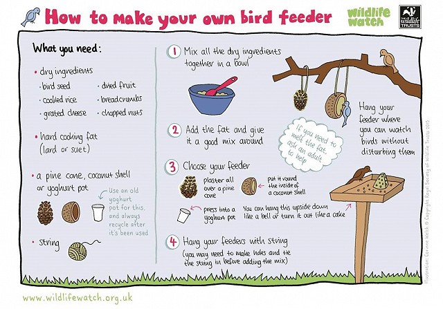 Make your own bird feeder