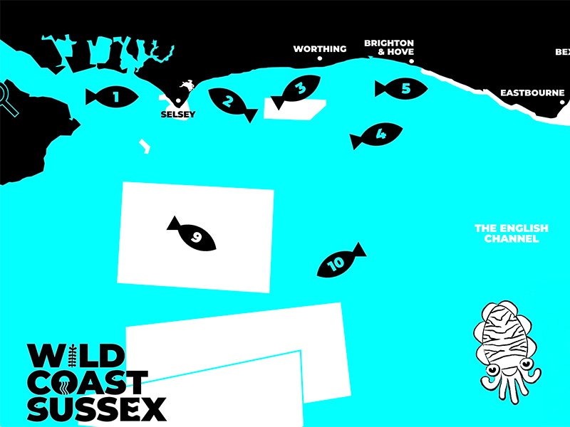 Wild Coast Sussex Interactive Map