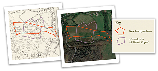 Maps of Forest Copse