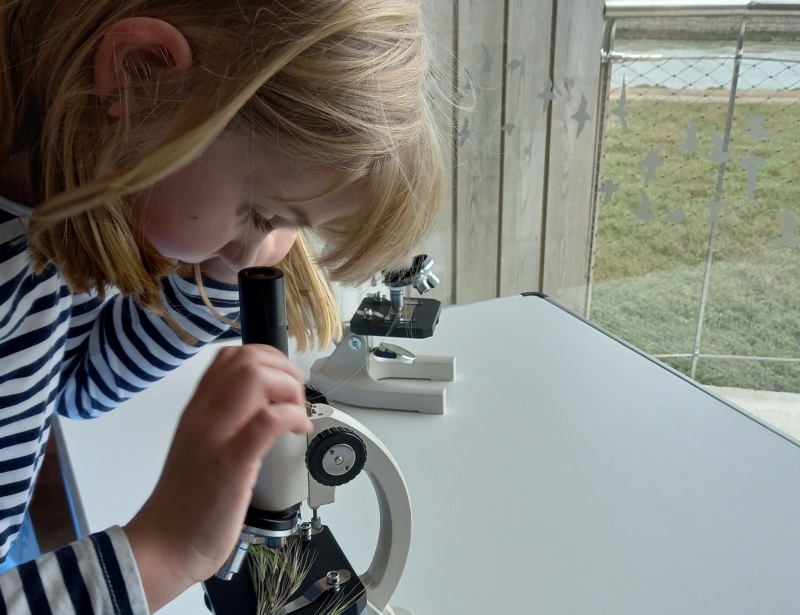 Girl using microscope