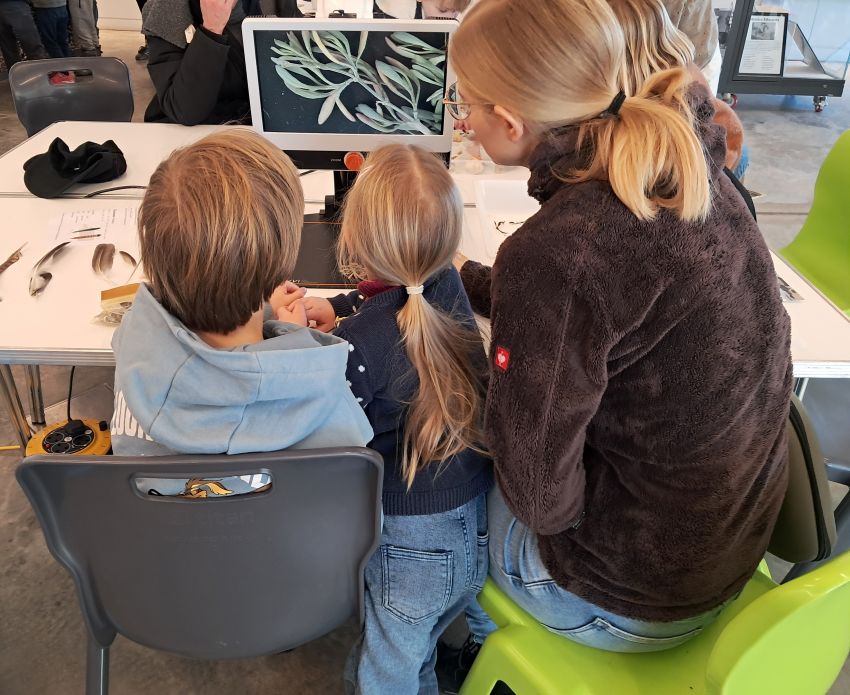 Family using the magnifier to look at Sea Purslane leaves Family using the magnifier to look at Sea Purslane leaves