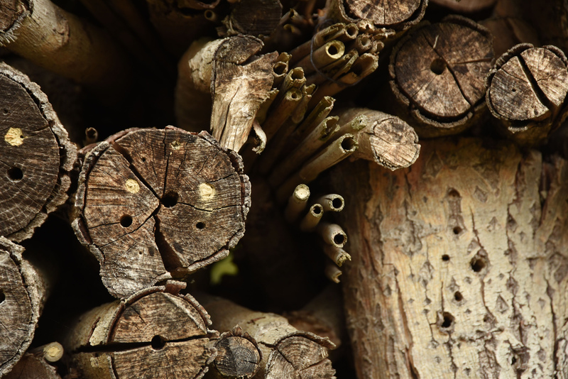 Bee hotel
