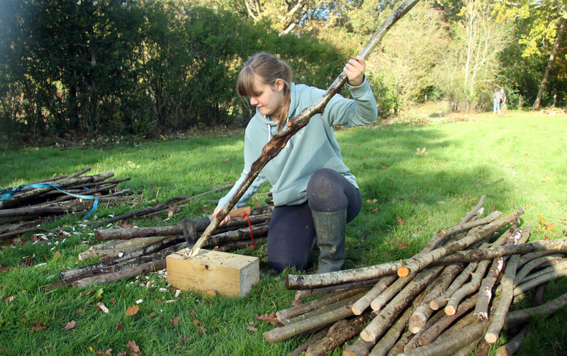 Sharpening stakes