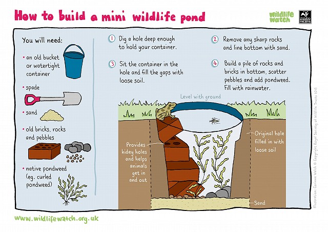 MINI WILDLIFE POND 800