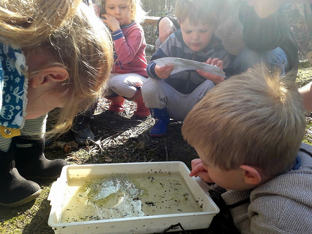 Crawley - Tilgate Park Nature Tots - Thursdays (Age 3-5) - (20/04/2023)
