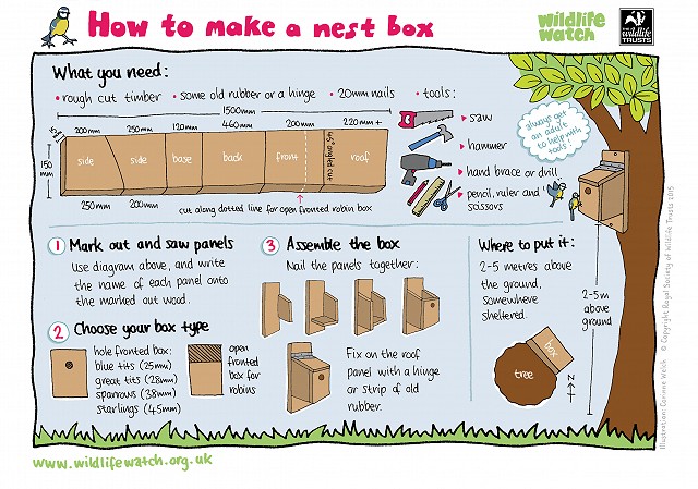 NEST BOX 0