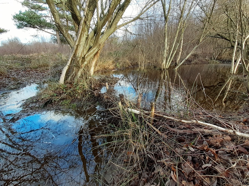Leaky Dam at Chailey © Sam Buckland
