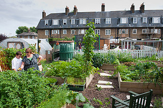 Community Garden