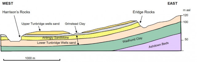 A bedrock geological cross section between Eridge Rocks and Harrison’s Rocks.